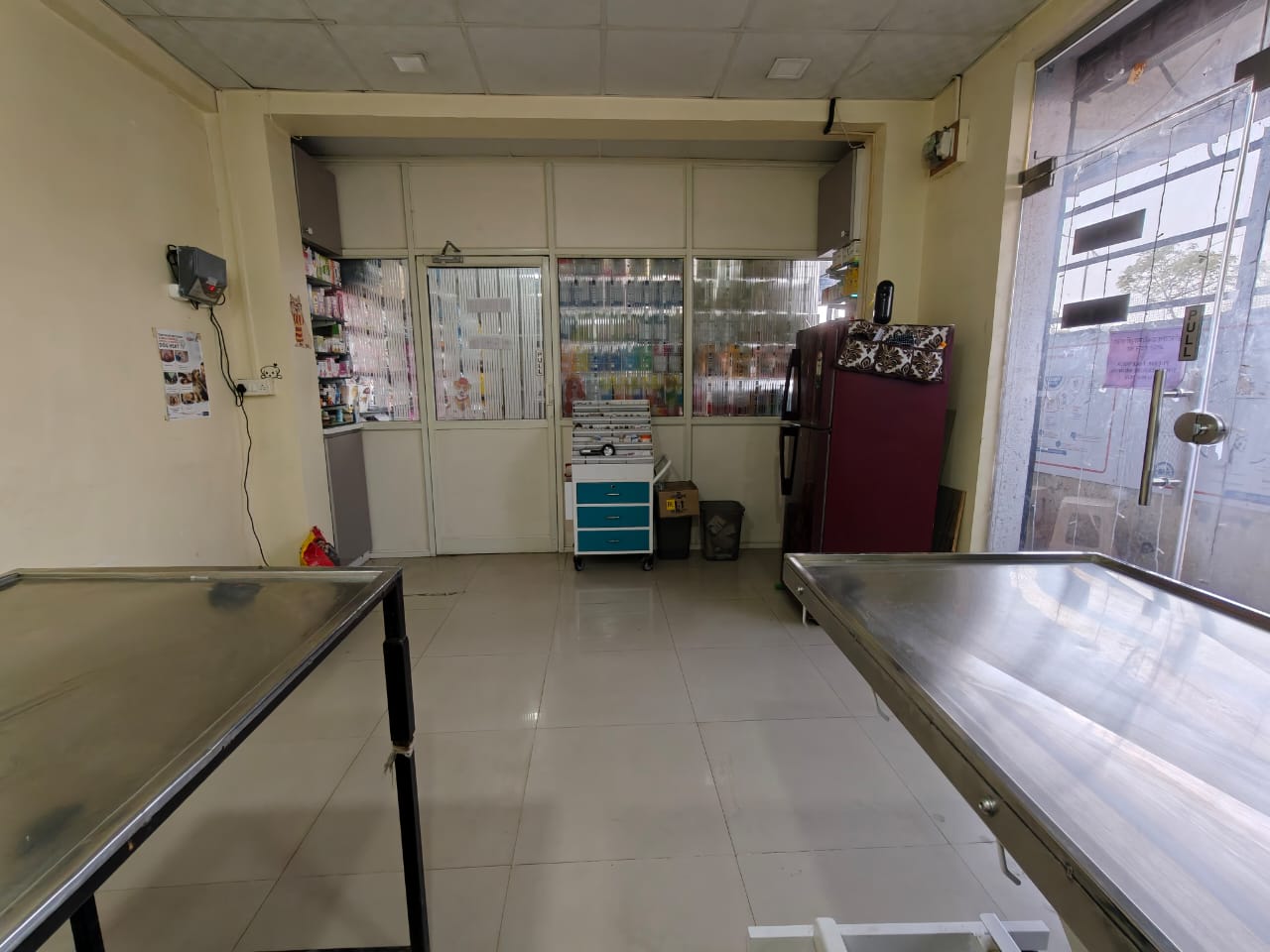 Pet care at Sarvadnya Pet Care Unit, Pimpri-Chinchwad